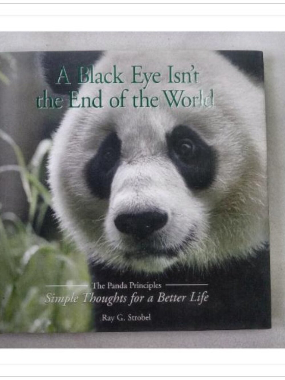 A Black Eye Isn't the End of the World: The Panda Principles - Simple Thoughts